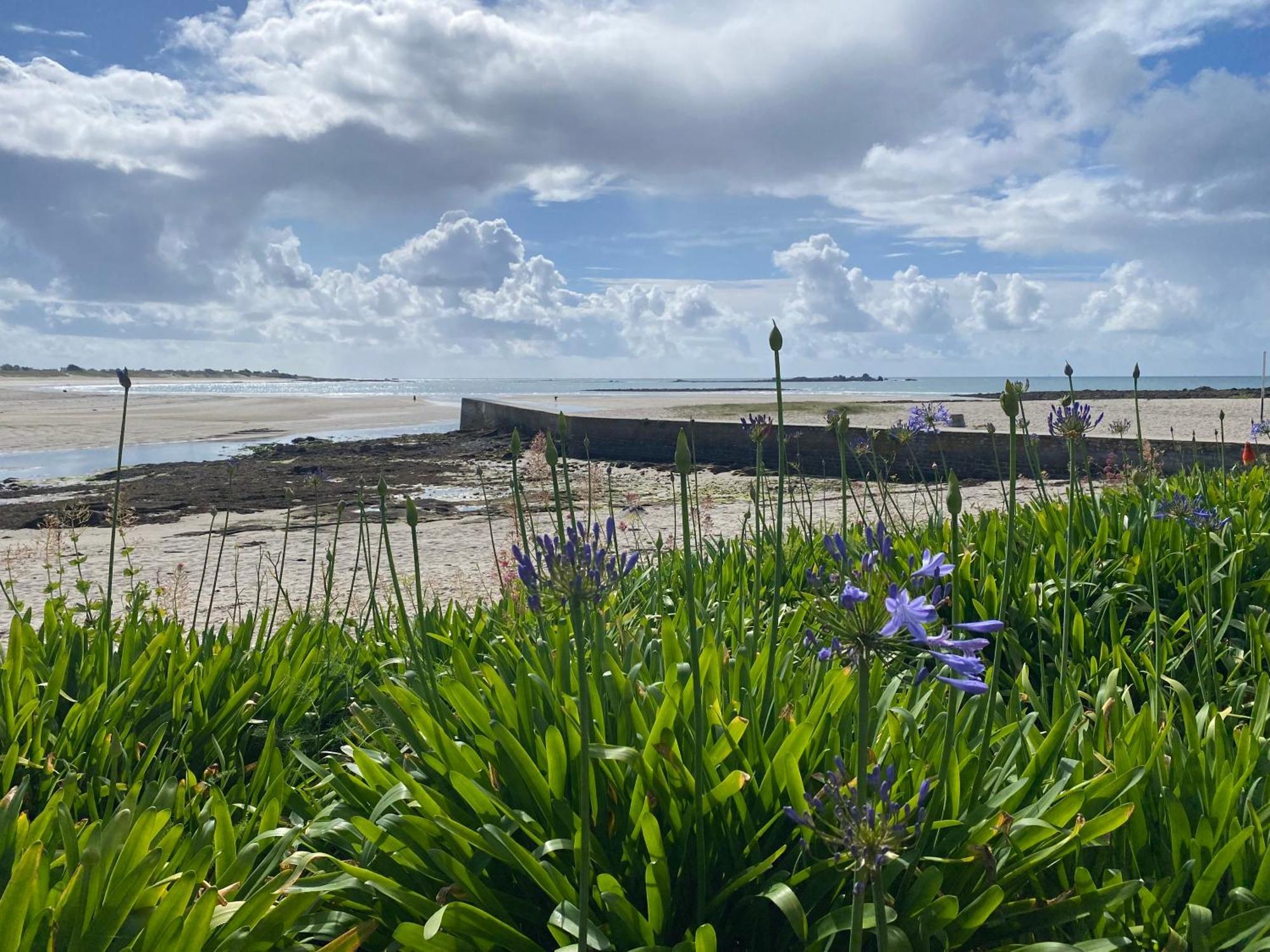 Villa Ster Et Mer Plobannalec Esterno foto
